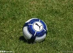 马雷斯卡强,伤病频发致,赛季低谷,太阳城,太阳城娱乐,太阳城app,太阳城赌场