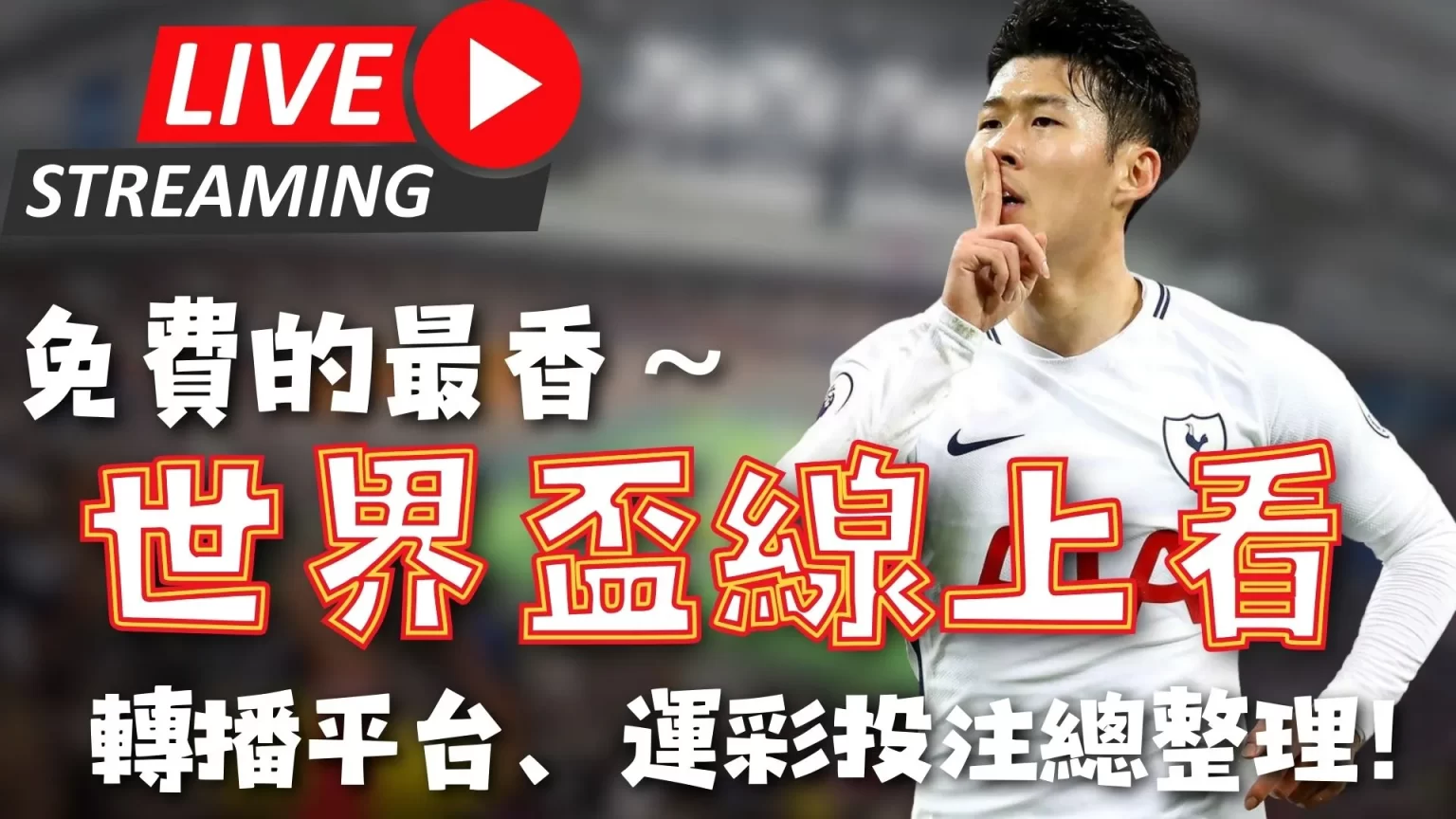 大乐透期号,专家质合分,析推荐,太阳城,太阳城娱乐,太阳城app,太阳城赌场